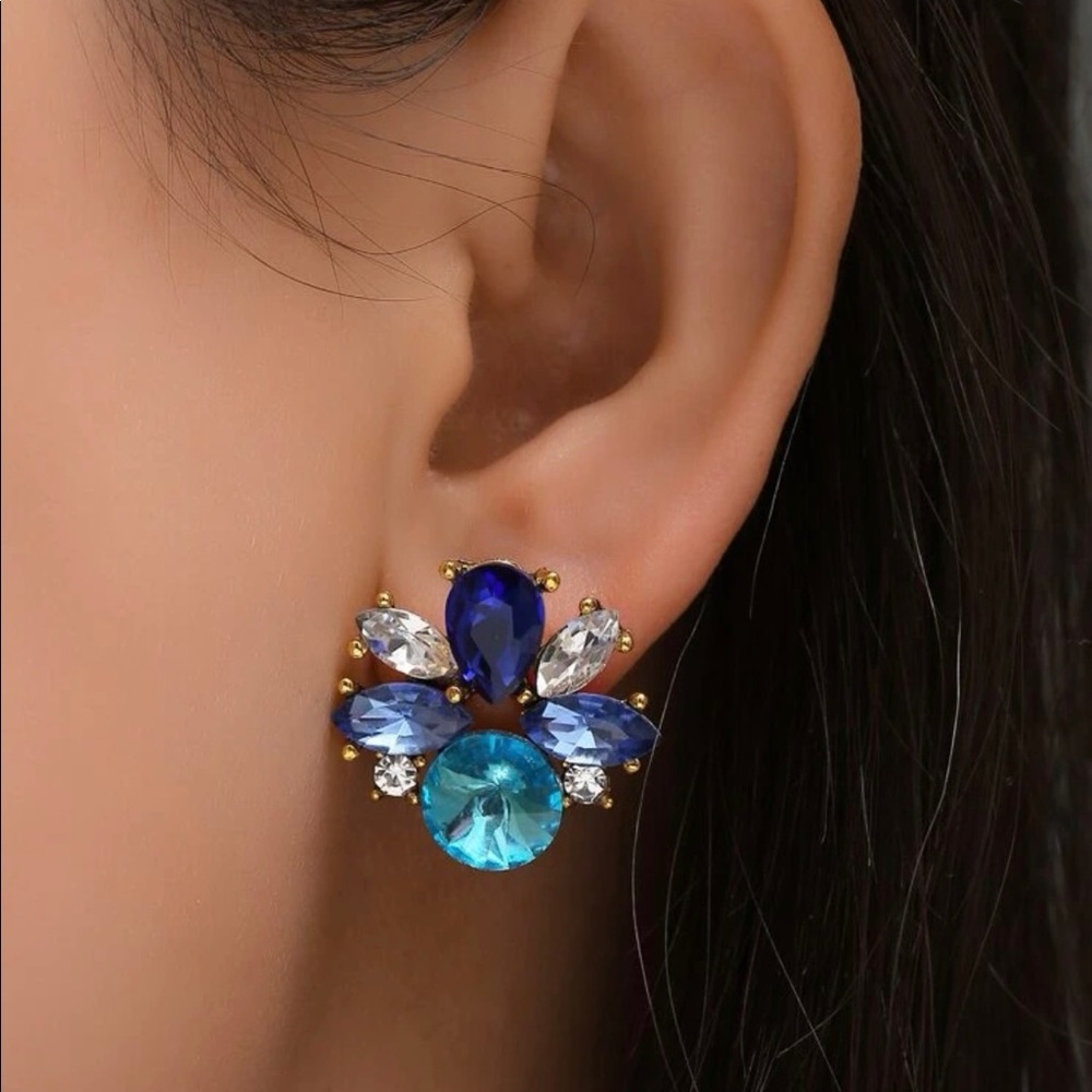 Fashion earrings